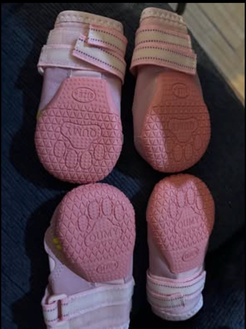 Dog Shoes New In Box Keep dogs feet safe this summer